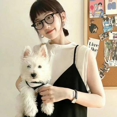 内部敌人